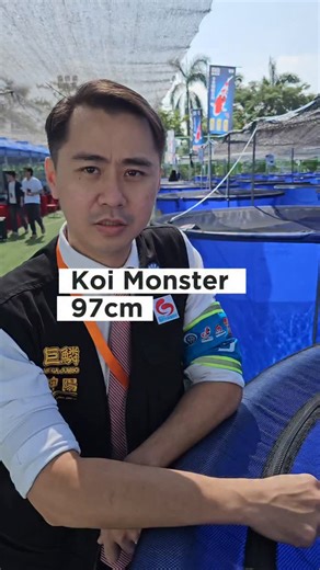 JAVA FRESH AQUATIC on Instagram: "Ikan umur 7th juara Grand Champion di China International Koi Show. Dengan Mega Jumbo, pasti Jumbo #megajumbo #pakankoi #ikankoi #koijepang #kolamkoi #kohaku #sowa #sanke #tanco #hiutsuri #karasi #ikankoki #goldfish #kokiranchu #kokioranda #kokipanda #pakankoki"