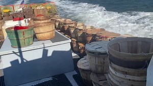 31 reactions · 4 comments | Beautiful day to eat crabs | Decatur's Crabs | Facebook