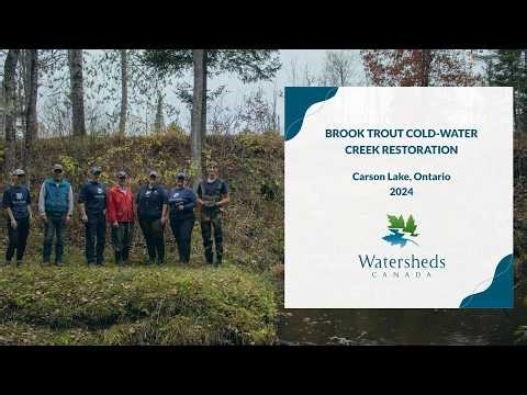 Coldwater Creek Restored to Benefit Brook Trout