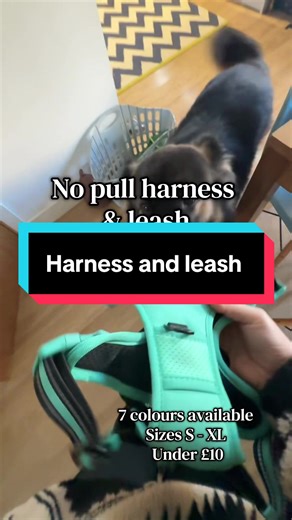 No pull dog harness 🐕 Make walks easier and more enjoyable with this comfortable no-pull dog harness and leash set. Designed to reduce pulling, improve control, and keep your pup safe and happy on every walk. Perfect for daily walks and training. 🐾 #dogtok #dogwalking #dogtraining #dogharness #petowners