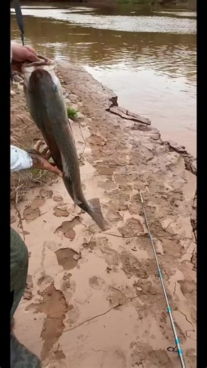 Take your shot at a 40 today! #riverwarriors #Fishmoreforless #mikesrigsnjigs @Grant