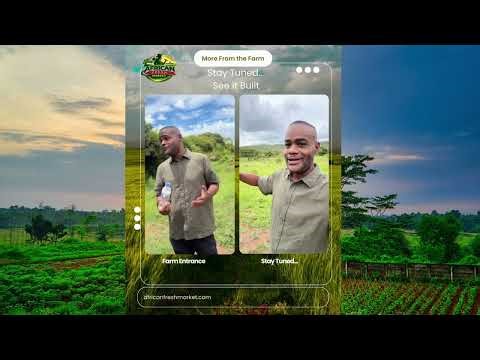 Inside African Fresh Farm: Scaling Agriculture in Rwanda 🇷🇼