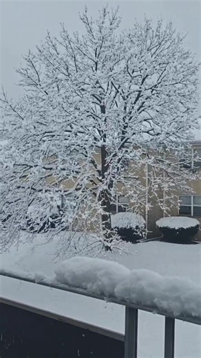 Thank you for making our Christmas geet Yesu Raja so special! Keep supporting and sharing the reels. ❤️✨ | Sara Sageel