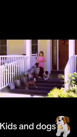 #dogtrainer #dogtraining #stbernard | Diamond Bar Kennel | Facebook