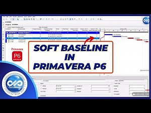 How to Create a Soft Baseline Without Freezing the Schedule in Primavera P6