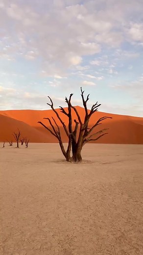 #Namibia draws its name from its massive emptiness, as namib is a Nama word literally meaning “vast place.” This huge expanse in southwestern Africa is one of the most sparsely populated countries in the world. Namibia has seemingly endless deserts and unbelievable #wildlife, and it’s home to one of civilization’s oldest cultures, the San people 🇳🇦 🎥 @albertvicente 📍 Namibia #desertlife #namibiantiktok #namibiatravel