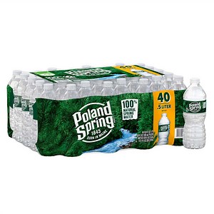 Poland Spring 100% Natural Spring Water, 16.9 fl. oz., 40 pk. - Samsclub.com