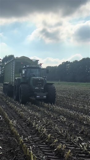 Fendt 920 in der Maisernte im Einsatz #viral #Landwirtschaft #fypageシ #fendtpower #childhood