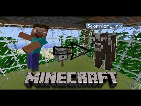 Minecraft | Morph Mod | 1.6.4 Mod Review | Crazy Craft