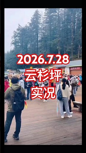 玉龙雪山云杉坪实况！还在死磕玉龙雪山大索道？怕高反、体质偏弱贫血、带长辈小孩出行，首选一定是云杉坪一日游！3240m温柔海拔，对比4680几乎没有高反压力，平缓环形木栈道全程无爬坡，慢悠悠散步完全不累
