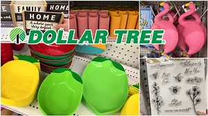 17K views · 442 reactions | NEW FINDS Dollar Tree Shop with me | Vanessa Vendetti | Facebook