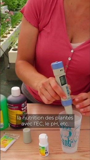 La formation hydroponie pour les jardiniers amateurs !