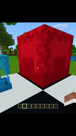 MINECRAFT CRAZY ILLUSION 😱( World's Smallest Violin )