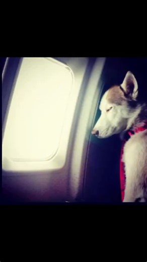 158 reactions · 3 comments | Mike O'Hearn on Reels | Facebook