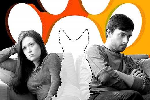 I Want a Dog, but My Husband Refuses. Should I Just Do It?