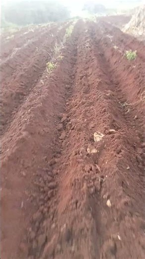 los mejores momentos en el campo es lo mejor