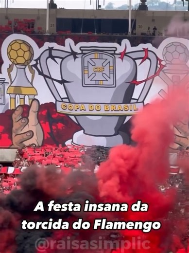 ‼️FIZEMOS NOSSA PARTE! #flamengo #fl #mengo