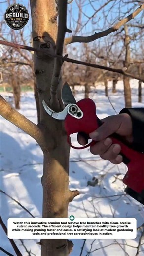 Perfect Tree Pruning Tool