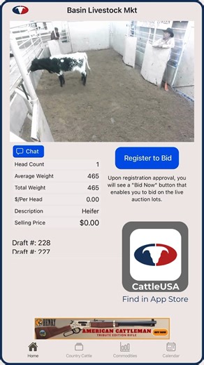 Singles & Pairs - Selling live at auction today on CattleUSA, Basin Livestock Market, UT - View / bid live online at CattleUSA.com or on CattleUSA app, available for download in App Store - Follow for more cattle market insights - @henry_rifles - #cattlemarket #bidatauction #truepricediscovery #utahcattle #cattleusa | Cattle USA Media