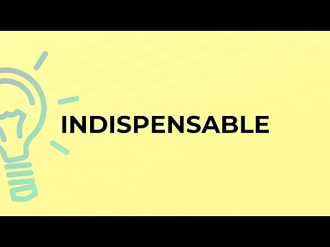 What is the meaning of the word INDISPENSABLE?