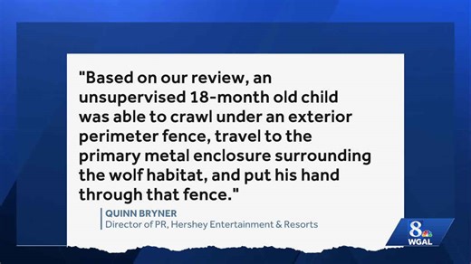 Child injured after sticking hand through fence of wolf habitat at ZooAmerica