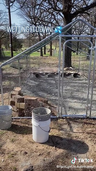 Building a Rabbit Colony: Progress Update