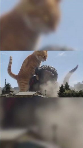 Giant Cat vs Godzilla?! 😱🐱🔥