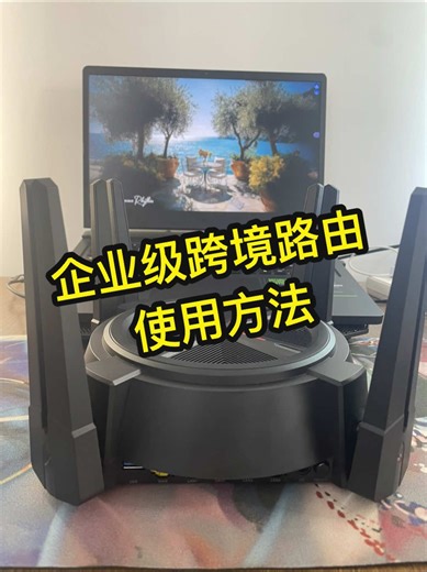 多wifi多ip账号矩阵路由，GoWan跨境路由使用方法，一拖32wifi32ip，不卡顿不掉线，四核处理器，双2.5g，八根天线，合适大型公司，团播，带货直播大公司用，经济实惠简单实用#vpn #节点 #跨境电商 #tiktok #外贸