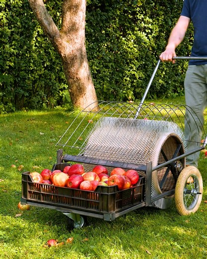 843K views · 515 reactions | Apple Harvesting Made Easy: A New Gadget | Crafty Panda How | Facebook