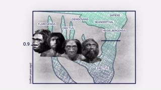 Catch up: Random Chance in Evolution...