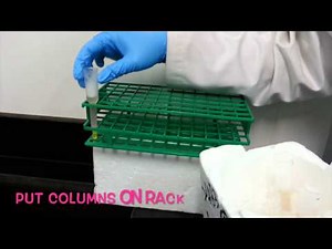 Affinity purification of his-tagged protein