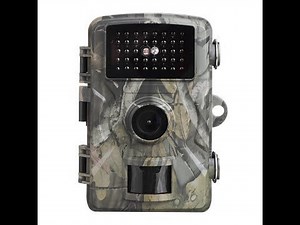 Câmara de Caça - Hunting Camera HC-DL001 - www.lojacctv.com