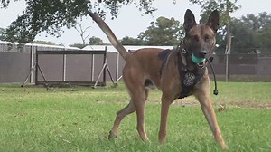 Dr. James 'Red' Duke, once-familiar TV doctor, dead at 86