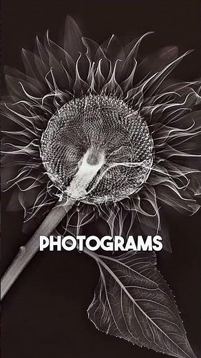 How to Take a Photo Without a Camera
