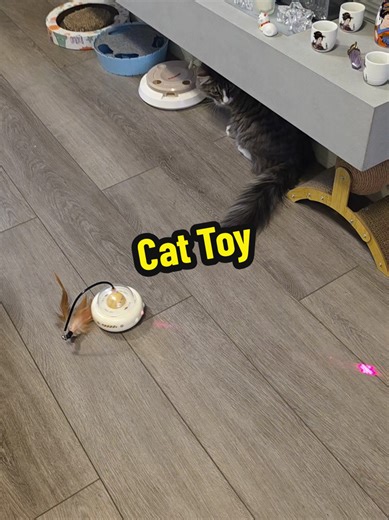 Interactive Cat Toy with Red Dot & Feather Chaser | Keep Cats Happy, Busy & Active Indoors If you’re a cat mum who loves finding toys that actually keep your cat entertained, an interactive cat toy with moving red dot and feather chaser is exactly what CatTok is obsessed with right now. Designed to move around the room and trigger your cat’s natural chasing instincts, this toy creates independent playtime that keeps cats busy, curious and active. Because bored cats = mischievous cats. Busy cats 