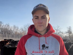 Determining the carbon cost of cattle forage production: U of S research