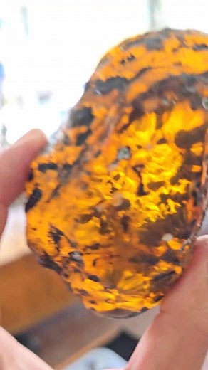 Amber markeet | Blue Light Gemstones