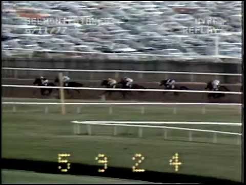 Seattle Slew wins the Triple Crown in the 1977 Belmont Stakes
