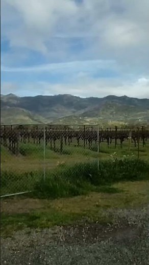 Exploring Napa Valley Wine Growing Region