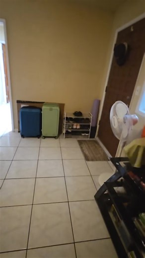 Mastering the Art of the Bottle Flip