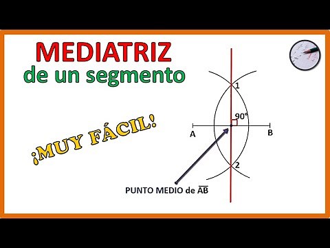 Biastrix of a Segment | Super Easy 🤩