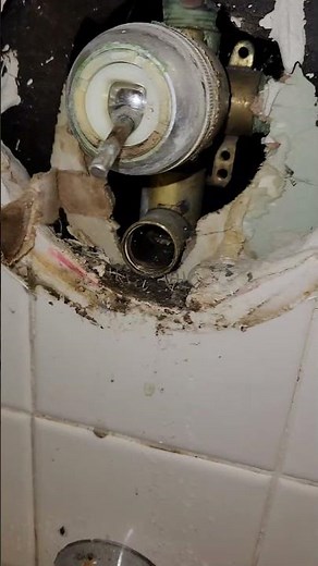 Shower Diverter Not Working? How to Fix Delta Faucet Diverter Valve