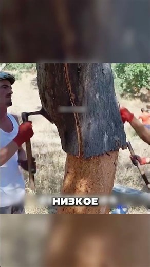 HOW DO THEY MAKE THE MOST EXPENSIVE MATERIAL IN THE WORLD?! 🤯