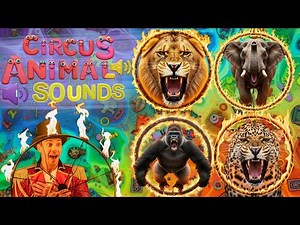 Circus Animal Sounds Song 🎪🦁🐘 | Funny Zoo Animals for Kids | Roar, Trumpet, Snap, Growl & More