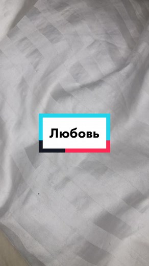 Adorable Puppies Playing on a Cozy Bed