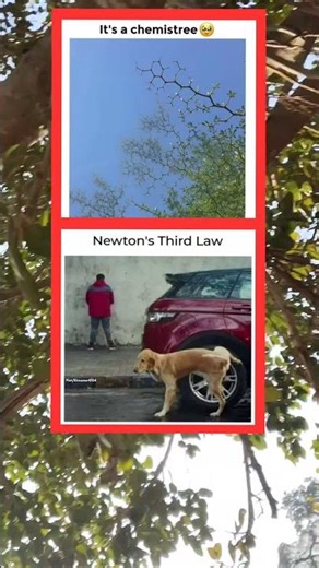 science practical method 🤣#bestmemes #freshmemes #memesfunny