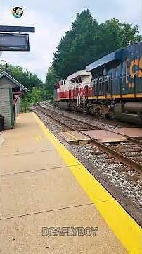 🚂 Thunder on the Rails: Spotting a CSX Heritage Locomotive #shorts