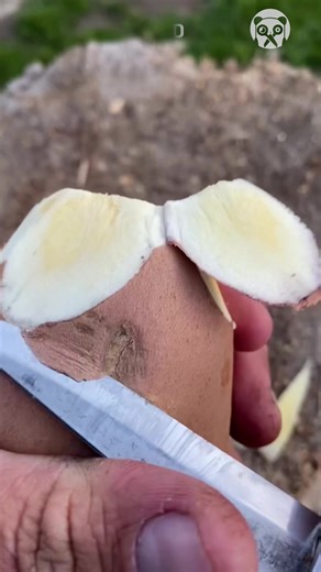 Carving Wood into Handmade Spoons | Bored Panda Art