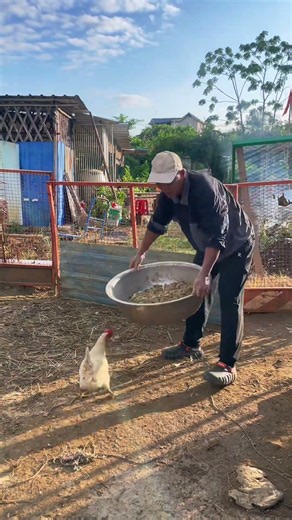 This is how farm animals should live 🐔🦆🪿🔥