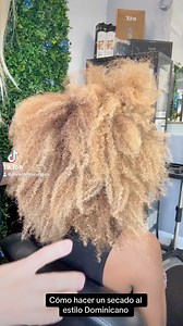 Dominican blowout tutorial. Puedes ver el video completo en mi perfil de Facebook está anclado How to do Dominican blow dry #hairproducts #hairproductrecommendations #CapCut #dominicansalon #dominicansalons #silkpresstutorial #silkpressnaturalhair #hairroutine #hairstyle #hairtutorials #hairtutorial #dominicanhairstylist #hair #hairstyletutorial #planchadoprofesional #blowoututorial #blowthisup #blowoutathome #athomesilkpress #blowoutbrush #hairtutorialsvideo #afroroutine #afrohairroutine #blowt